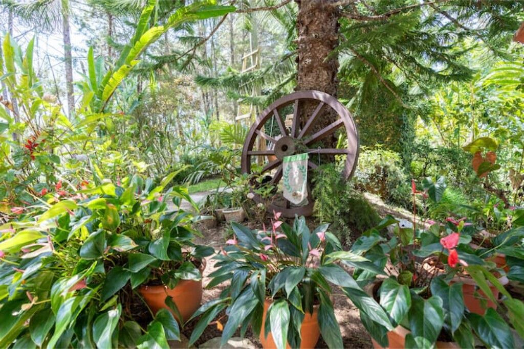 Photo of Outdoor in Constanza