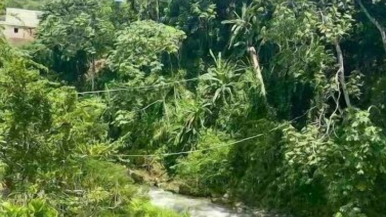 Photo of Outdoor in Jarabacoa