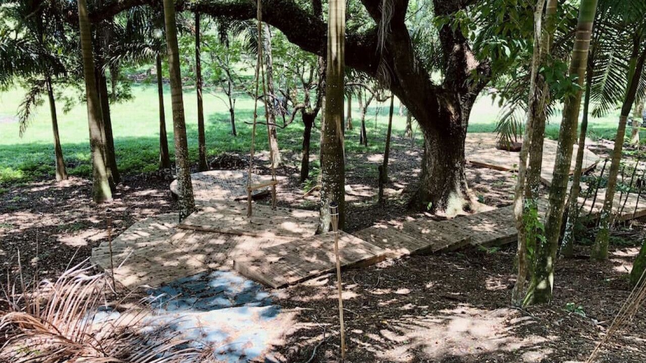 Photo of Outdoor in Los Brazos