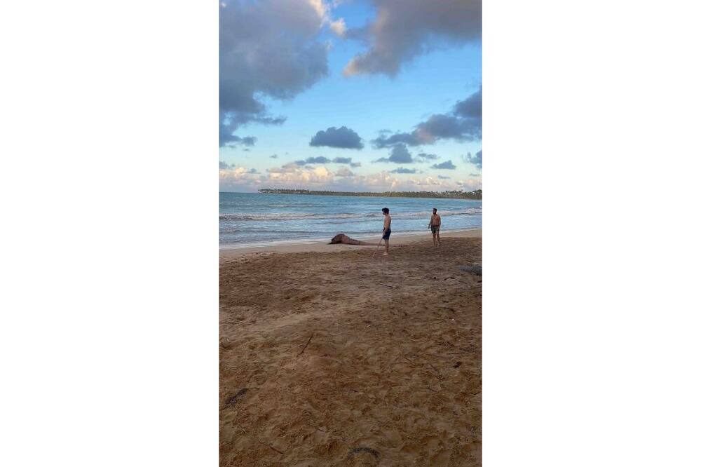Photo of Others in La Ceiba
