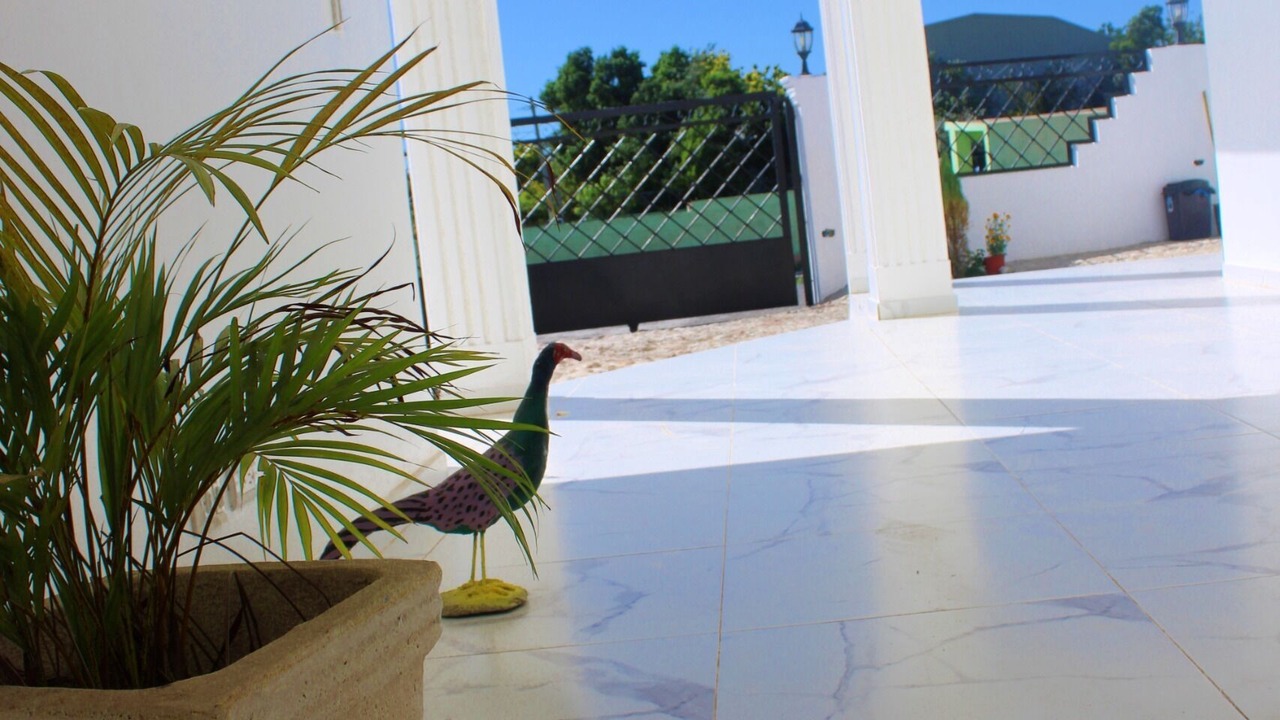 Photo of Outdoor in Mendoza