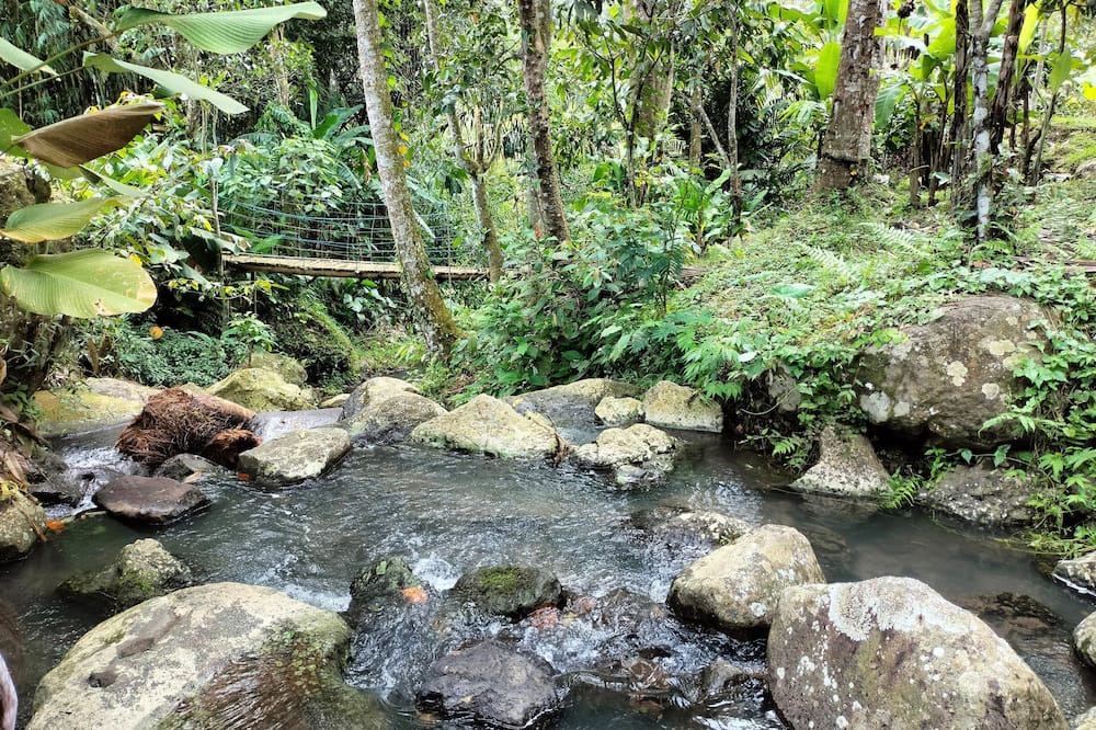 Photo of Outdoor in Penebel