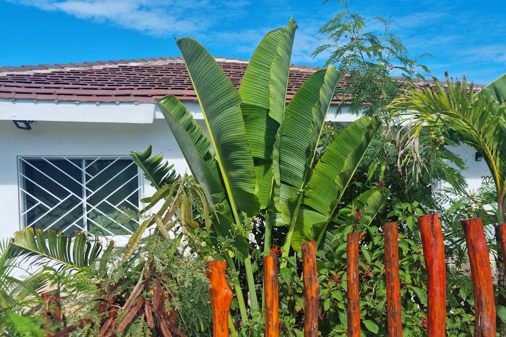 Photo of Outdoor in Punta Cana Village