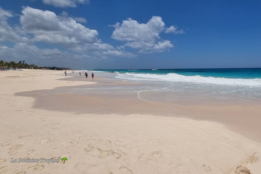 Photo of Others in Punta Cana Village