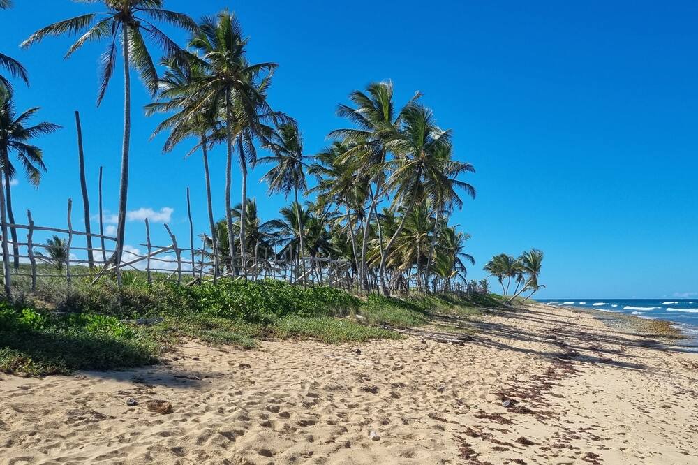 Photo of Others in Punta Cana Village