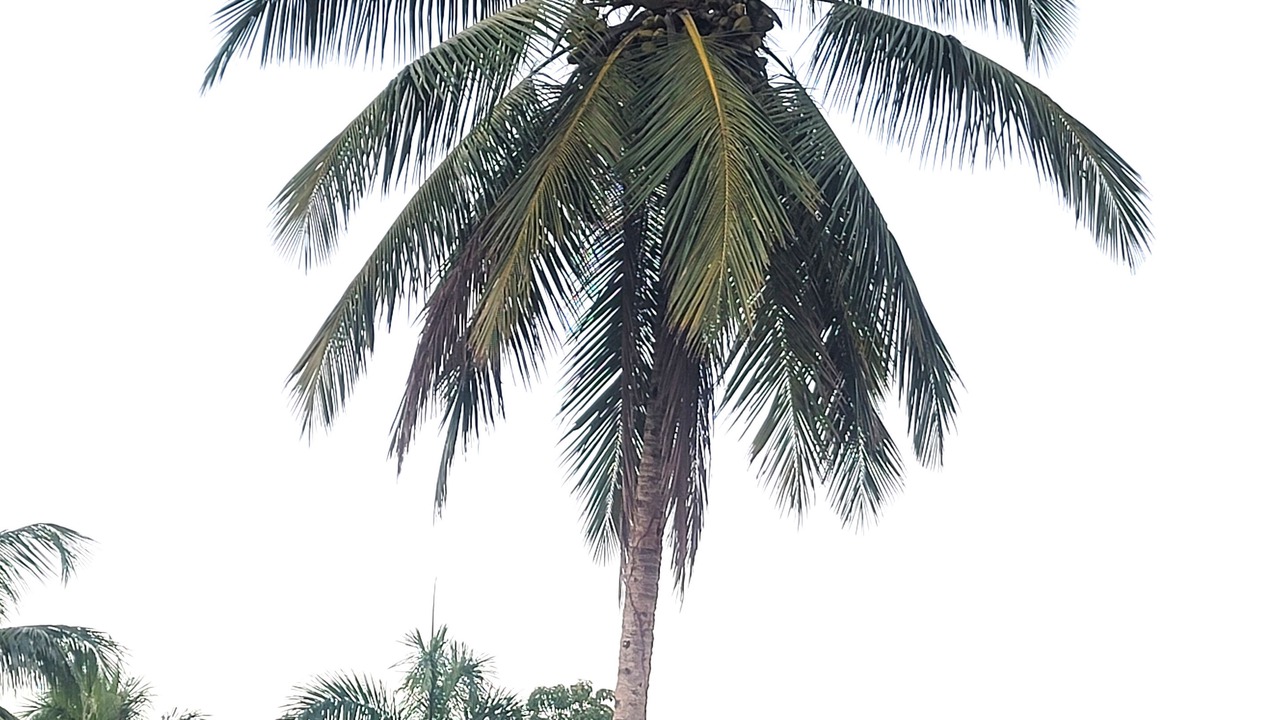 Photo of Others in Monte Plata