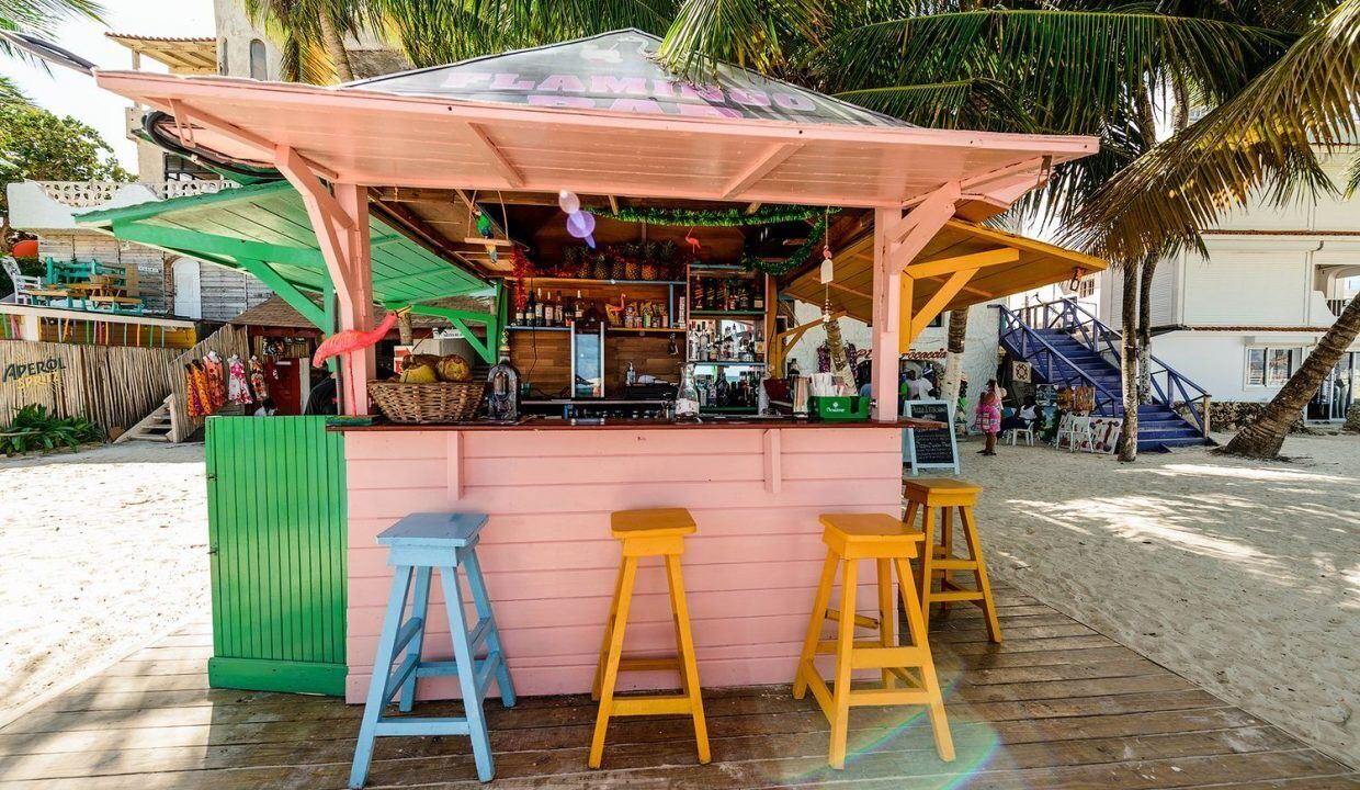 Photo of Others in Playa Bibijagua