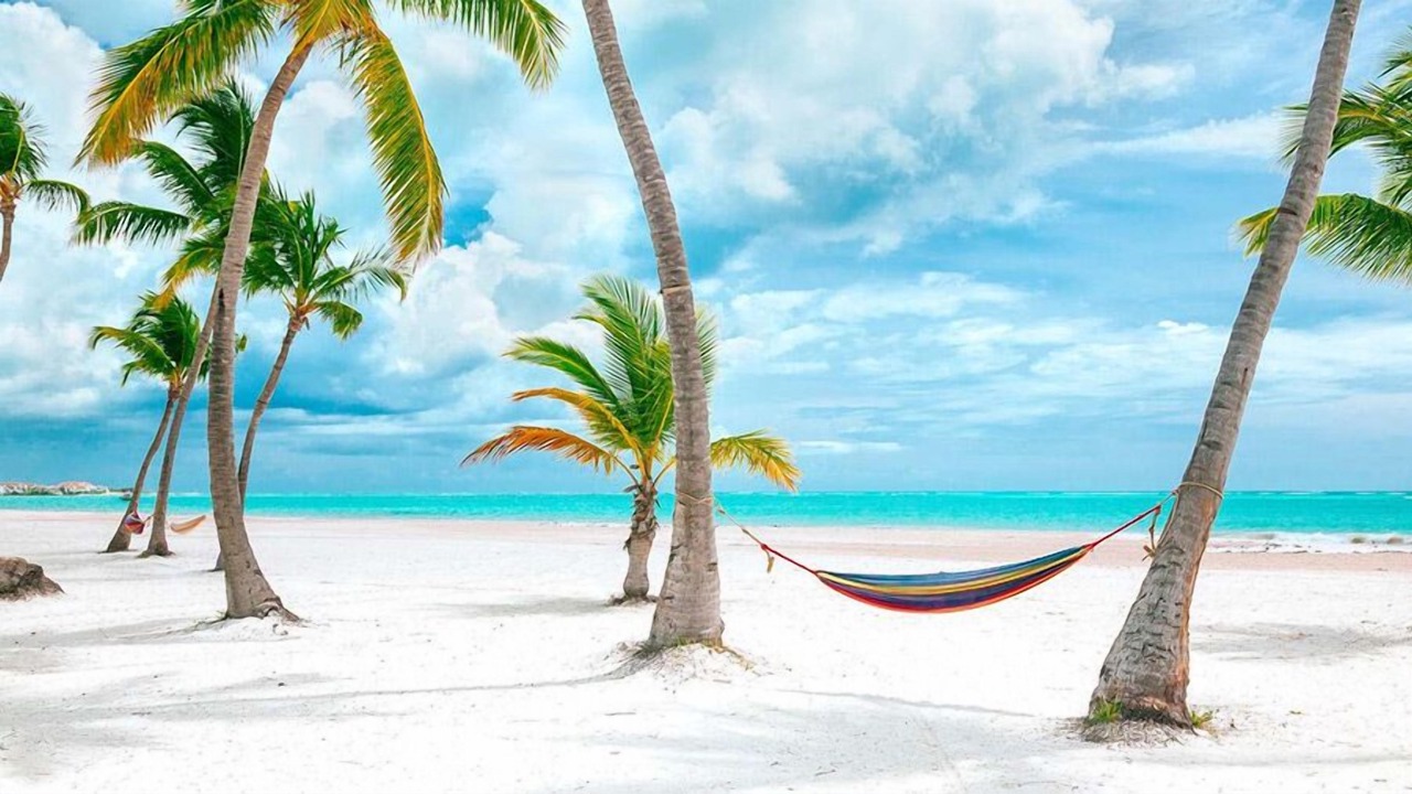 Photo of Others in Playa Bibijagua