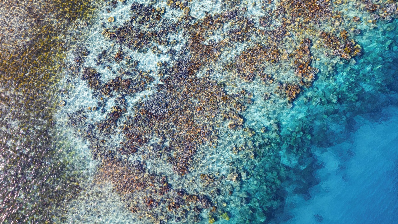 Photo of Others in Na Sau Bay