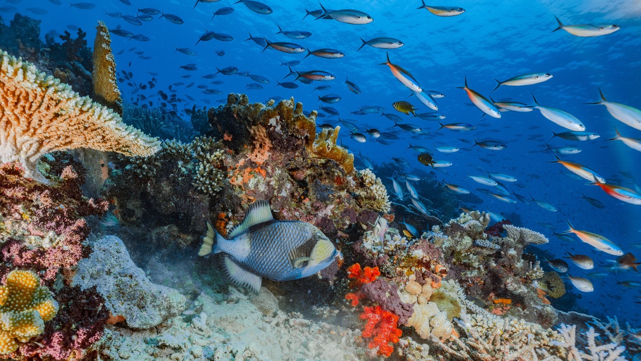 Photo of Outdoor in Na Sau Bay