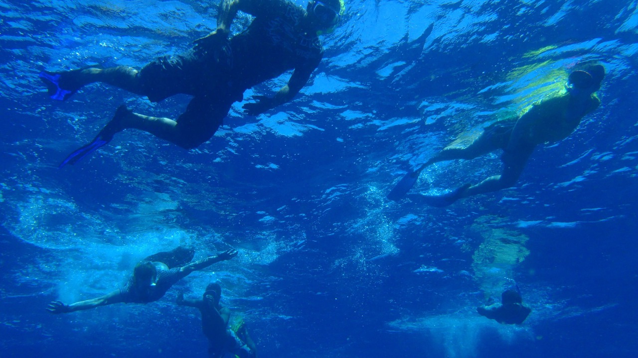 Photo of Others in Matei