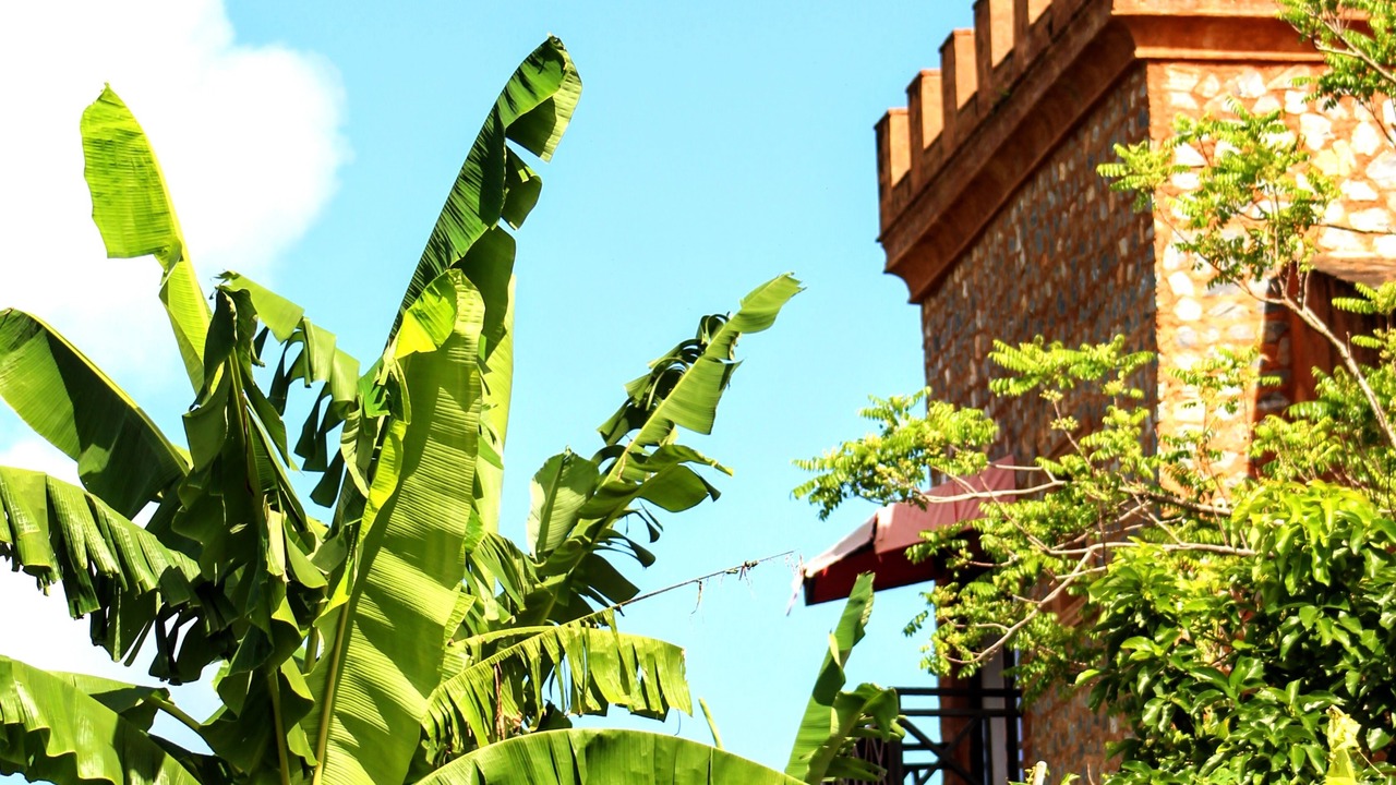 Photo of Outdoor in Las Galeras