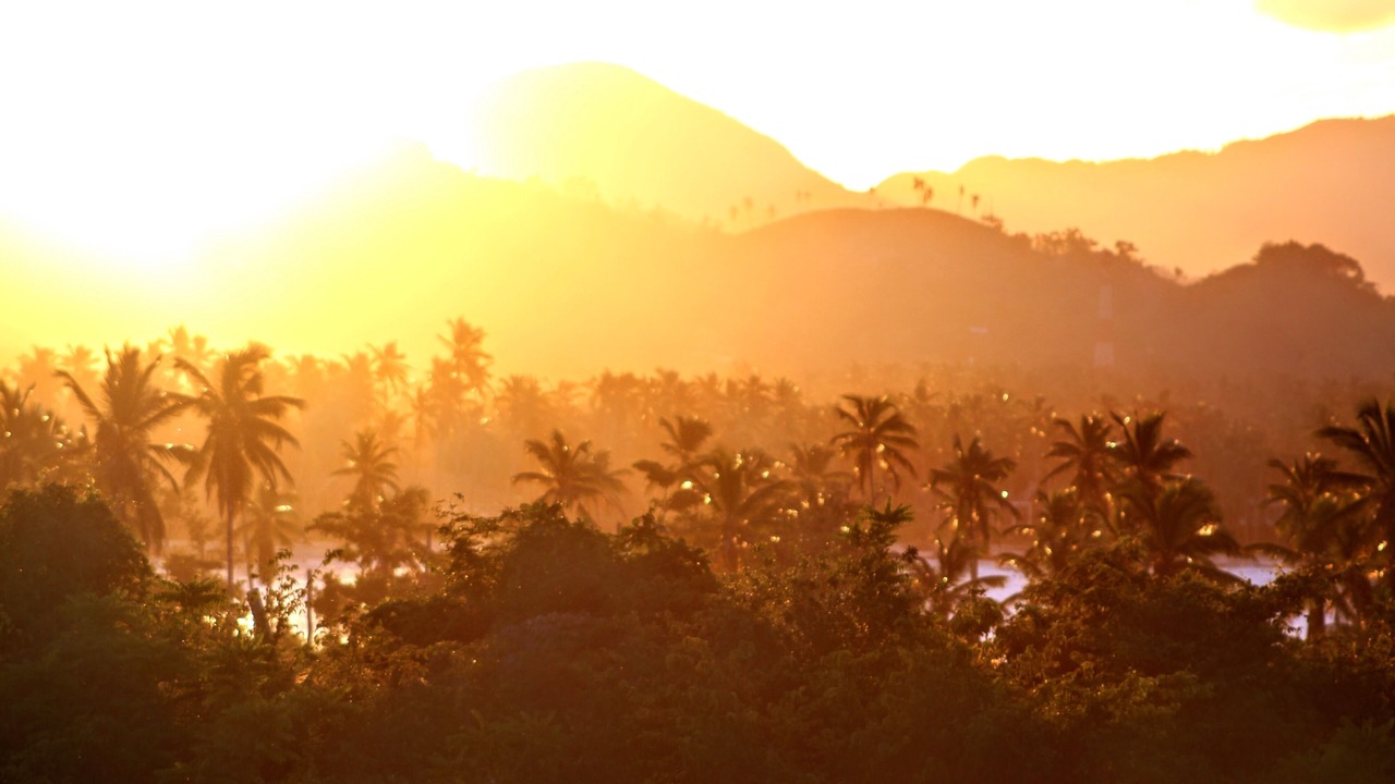 Photo of Outdoor in Las Galeras