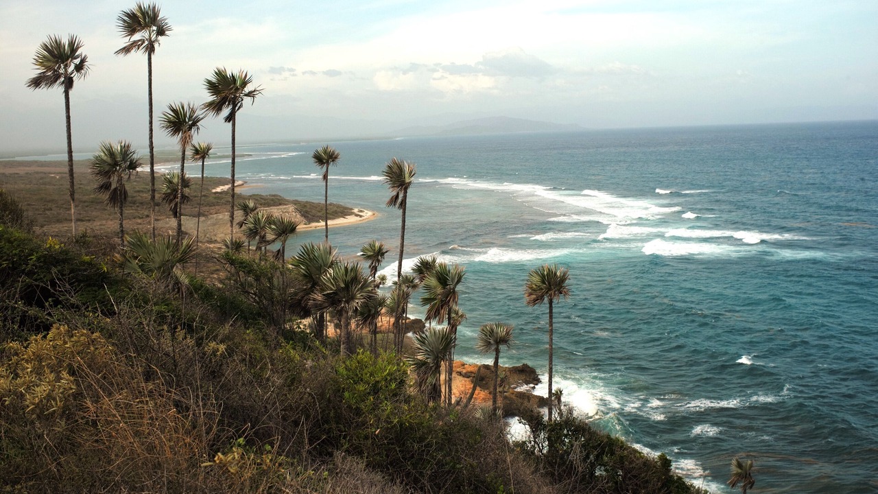 Photo of Outdoor in Azua