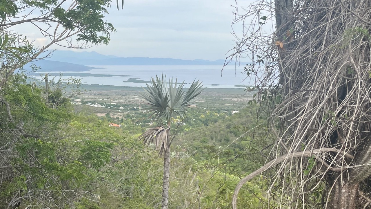 Photo of Outdoor in Azua