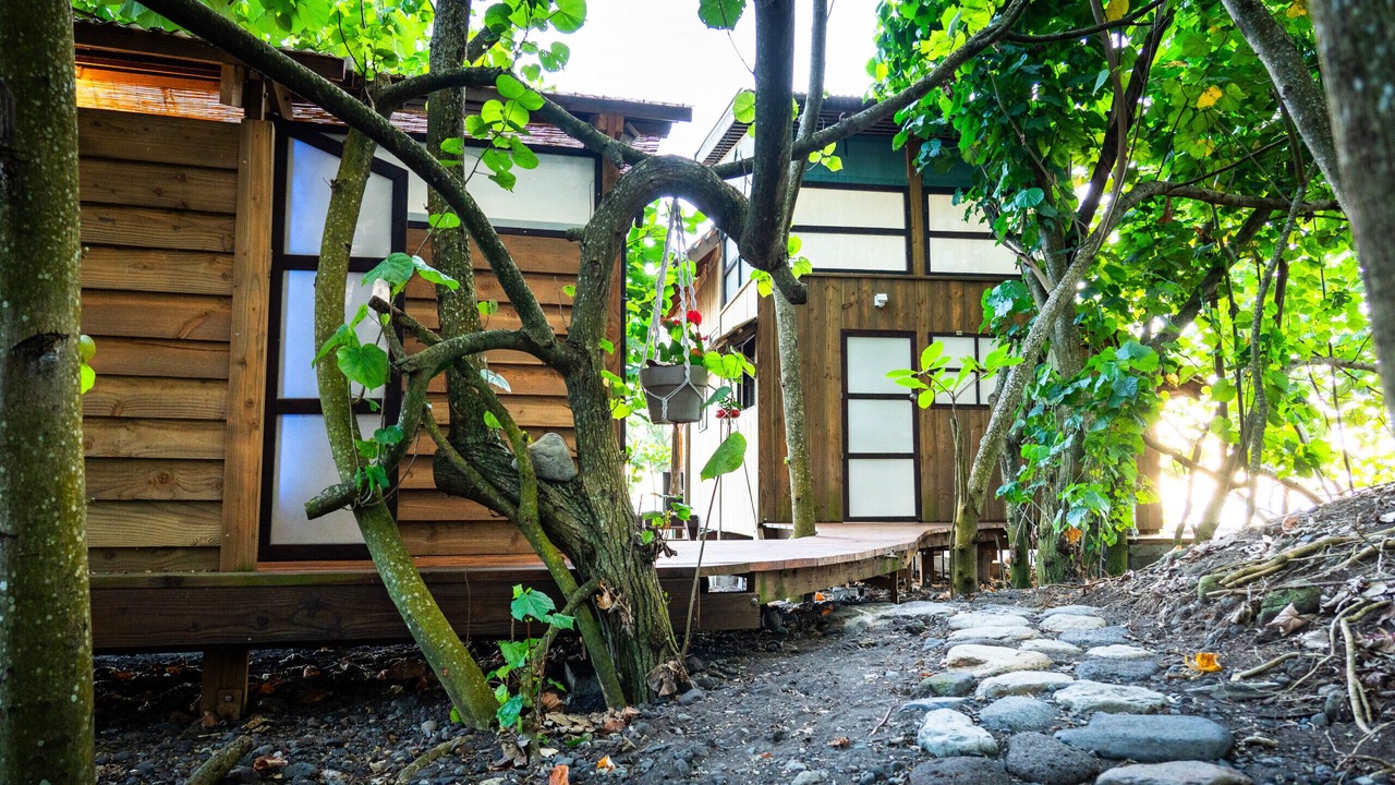 Photo of Outdoor in Taiarapu-Ouest