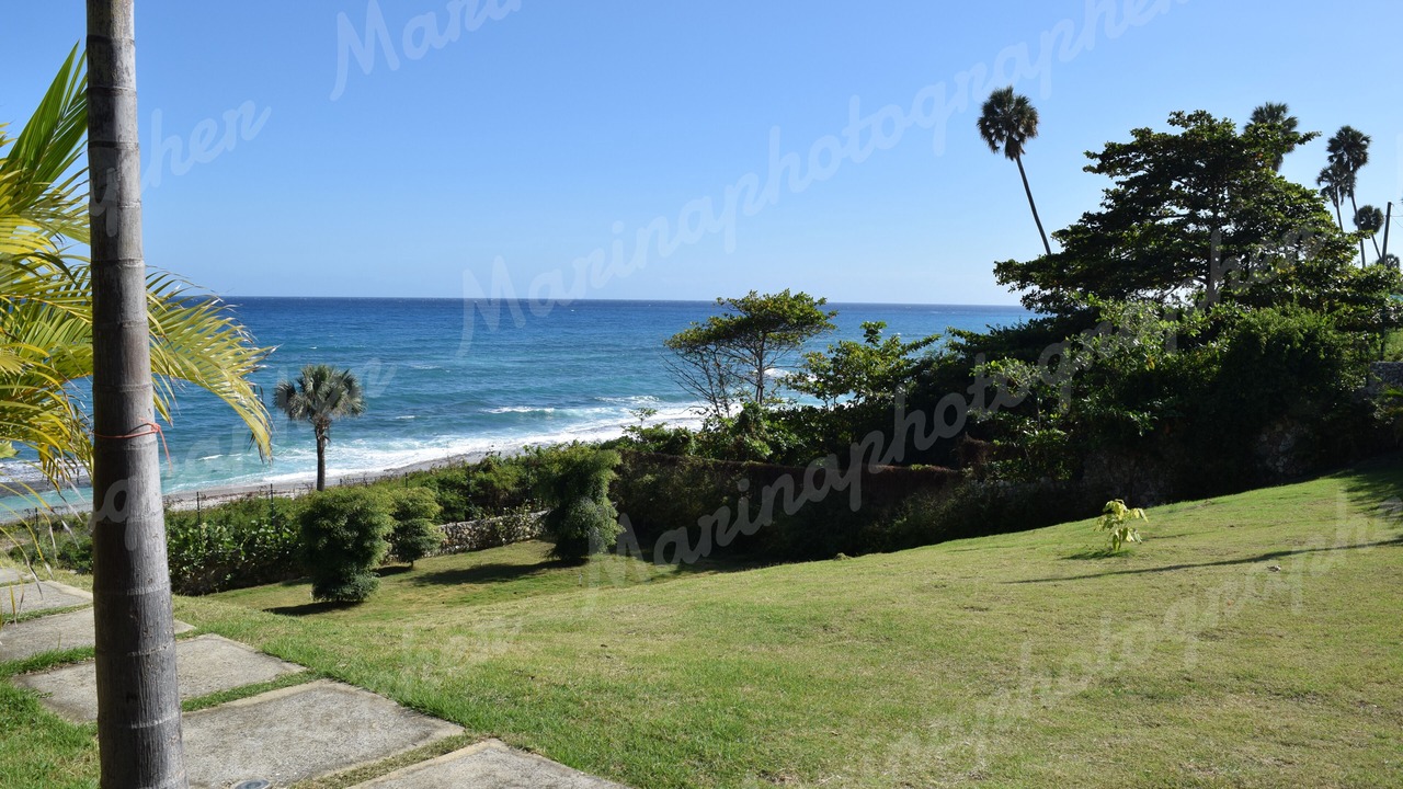 Photo of Outdoor in South Coast