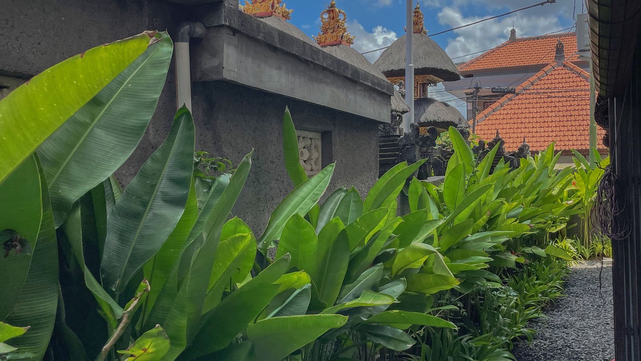 Photo of Outdoor in Central Seminyak