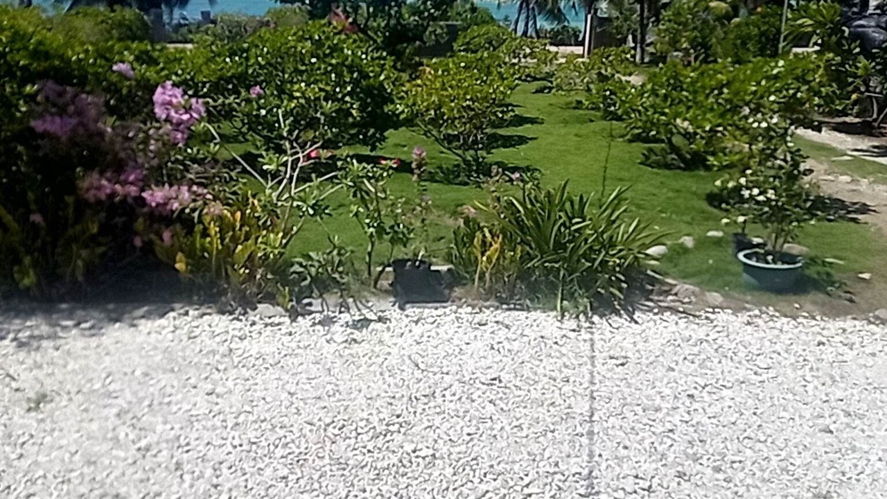 Photo of Outdoor in Maupiti