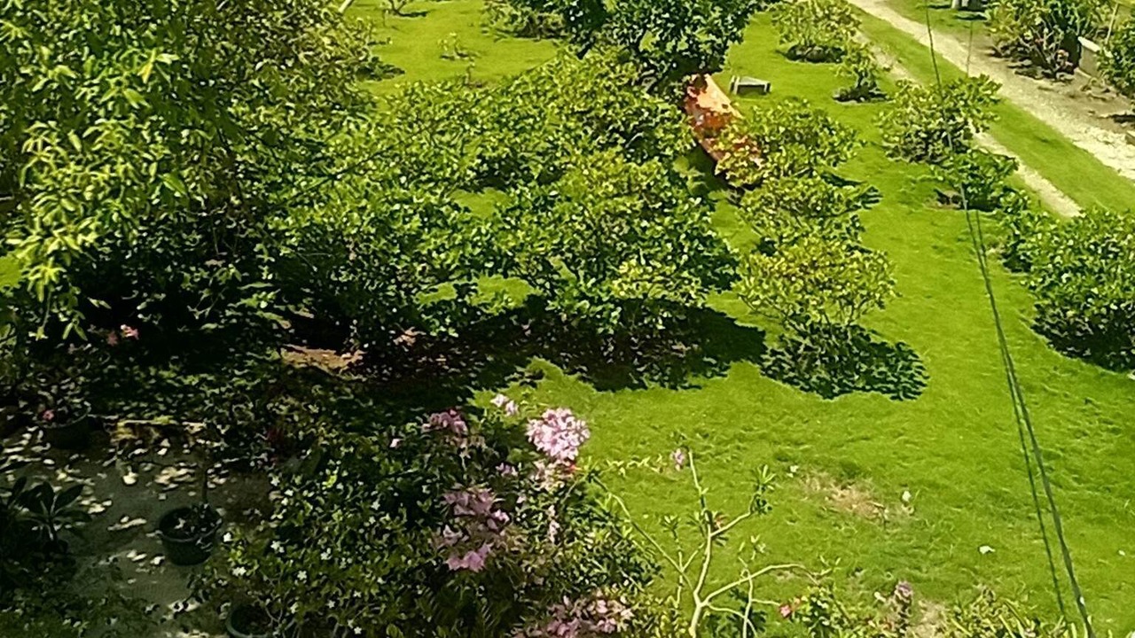 Photo of Outdoor in Maupiti