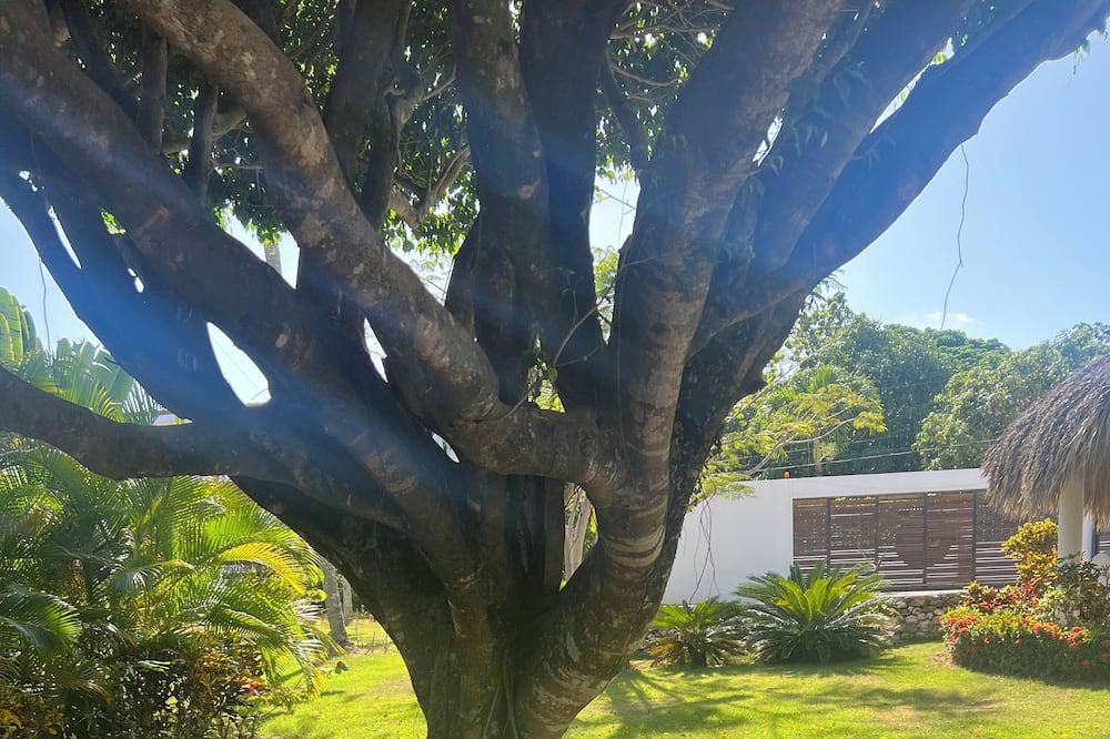 Photo of Outdoor in Cabrera