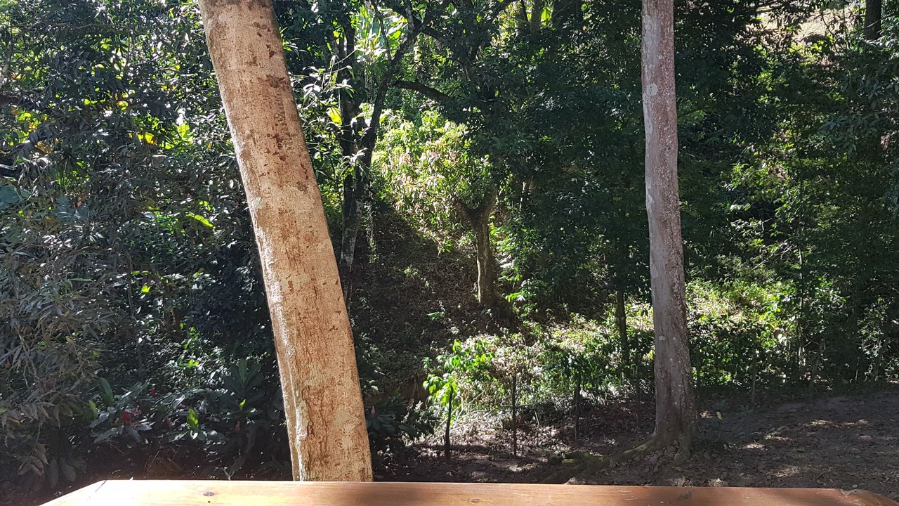Photo of Outdoor in La Vega Province