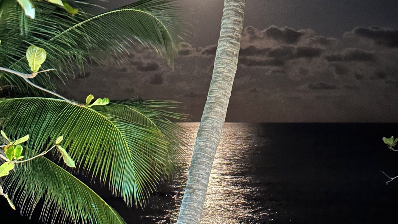 Photo of Outdoor in La Cienaga