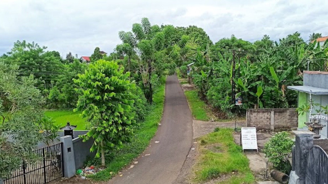 Photo of Outdoor in Negara