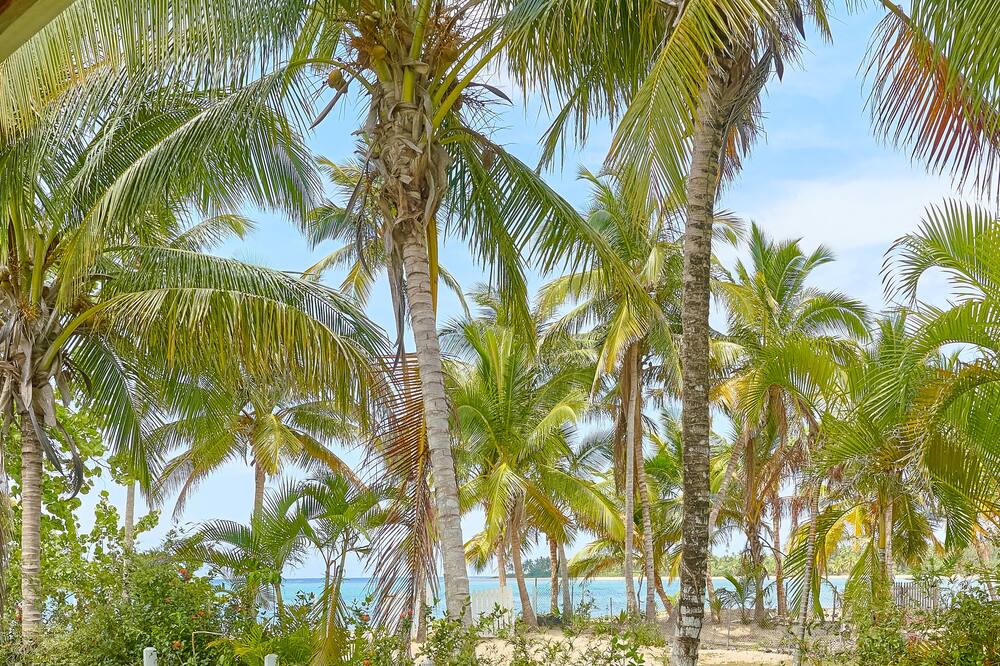 Photo of Outdoor in El Limon