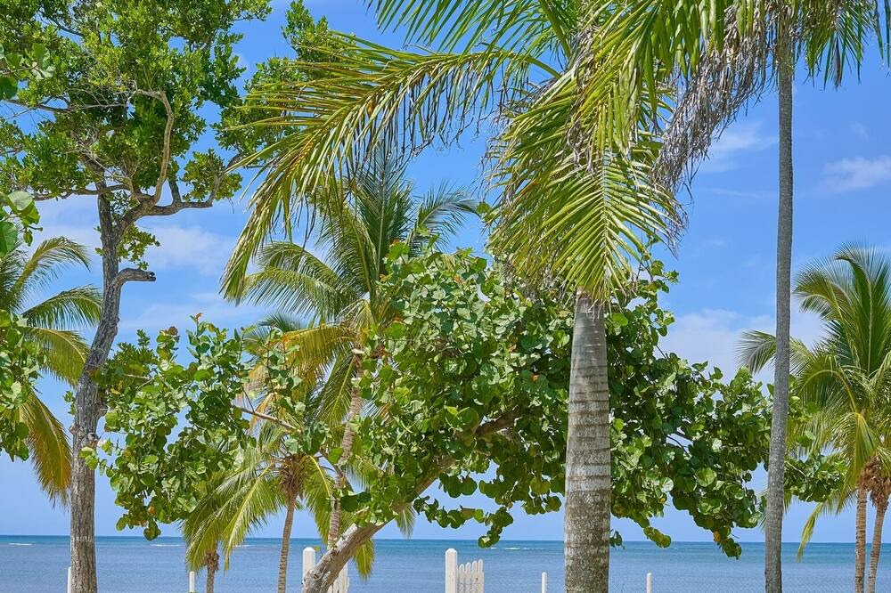 Photo of Outdoor in El Limon