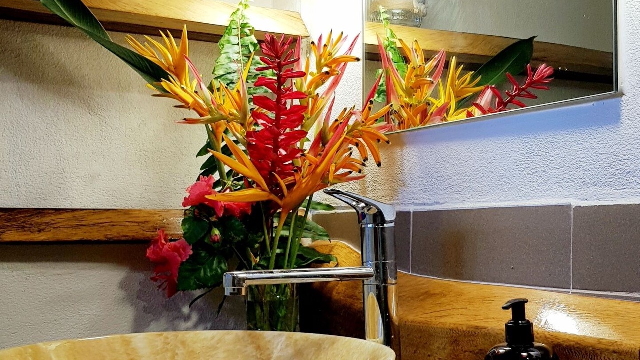 Photo of Bathroom in Taveuni Island West