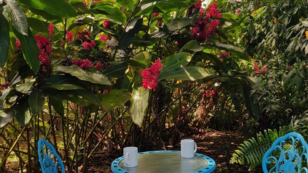 Photo of Outdoor in Taveuni Island West