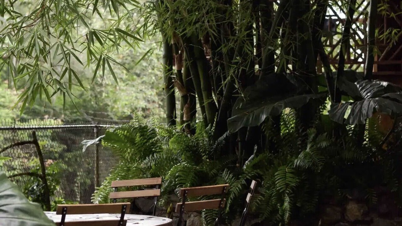 Photo of Outdoor in La Joya