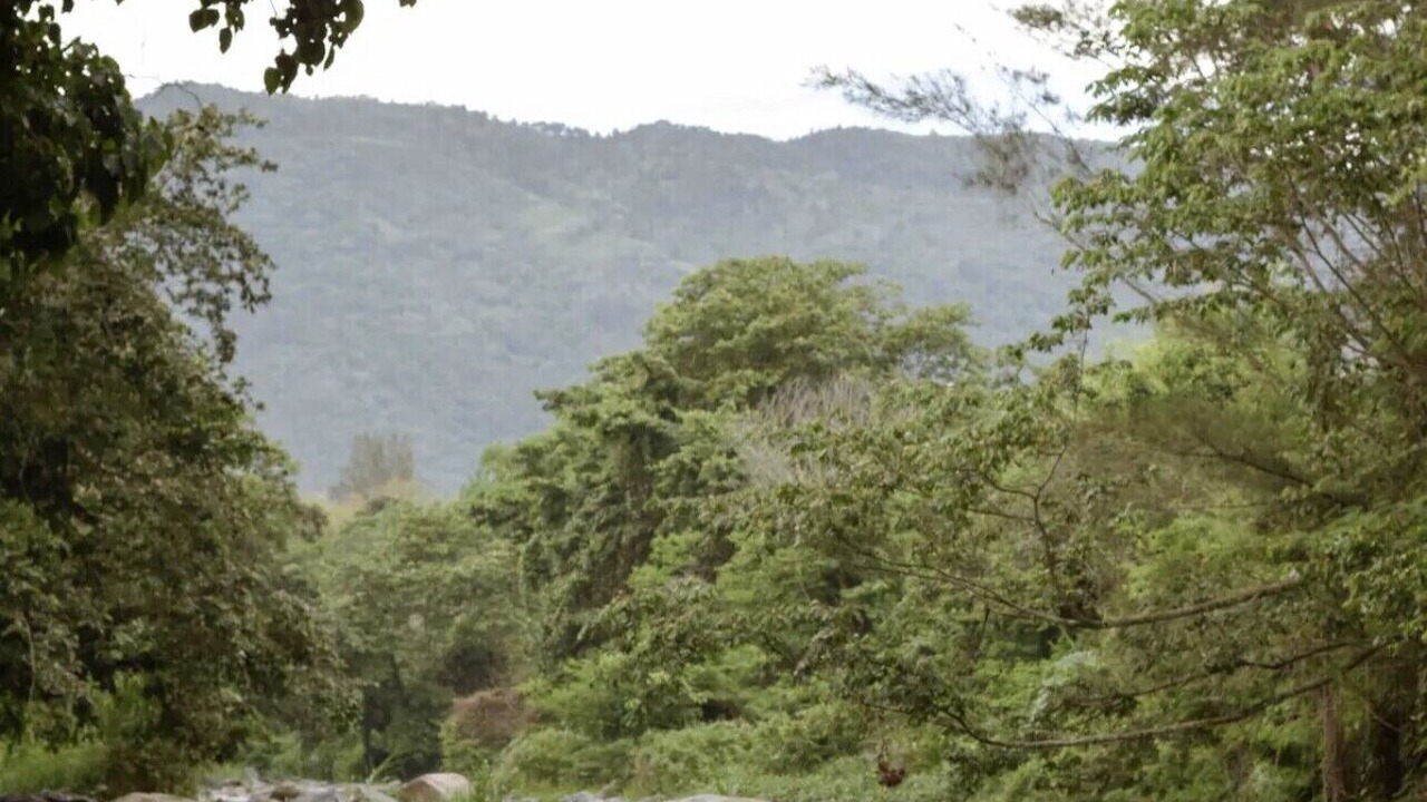 Photo of Outdoor in La Joya