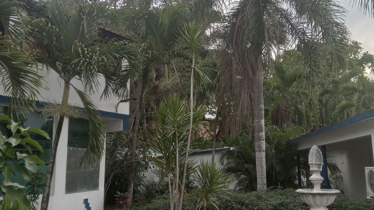 Photo of Outdoor in Reparto Ibarra