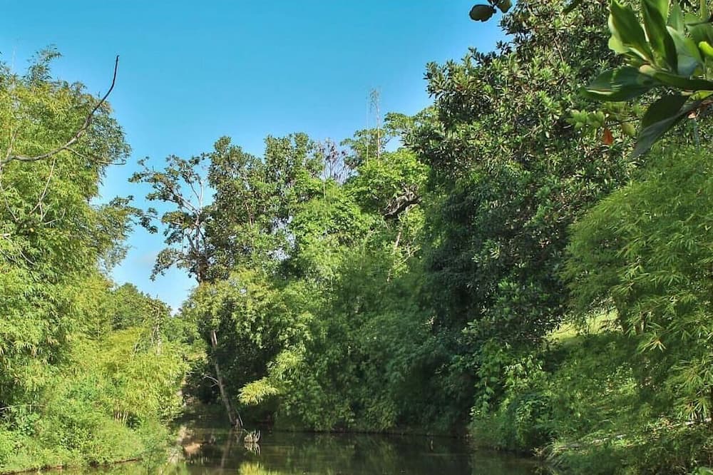 Photo of Outdoor in El Factor