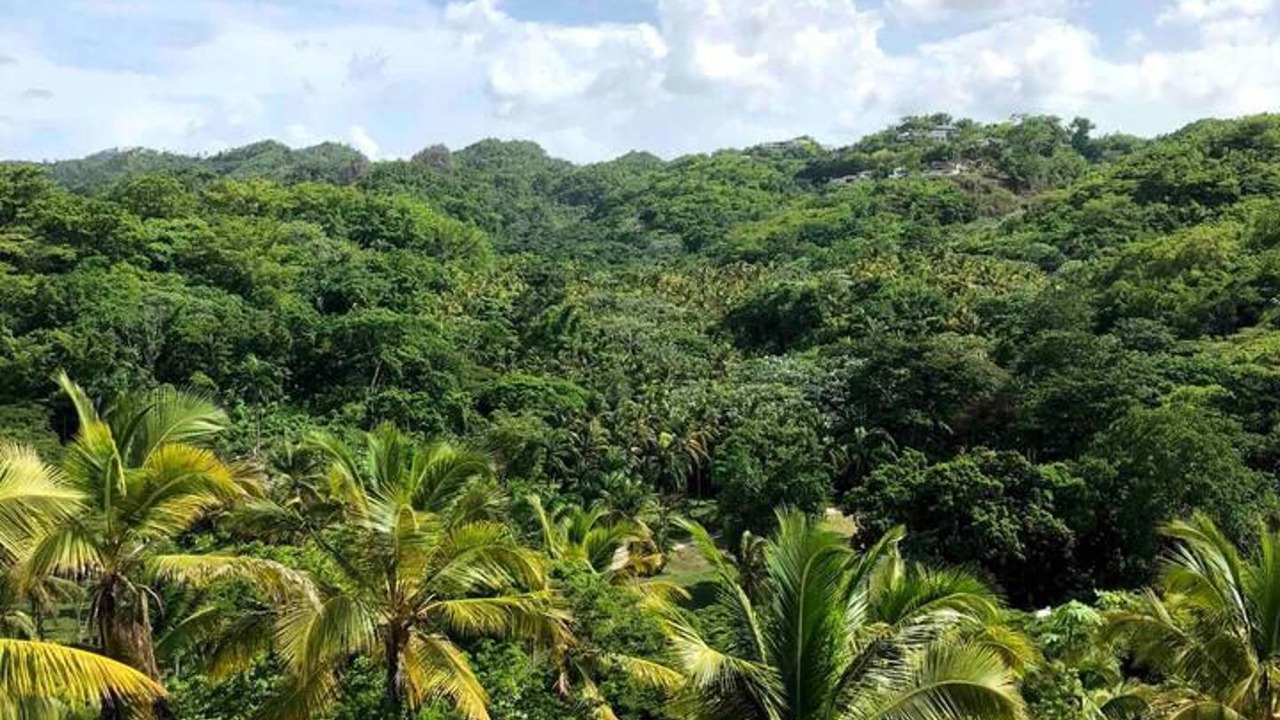 Photo of Others in Las Terrenas
