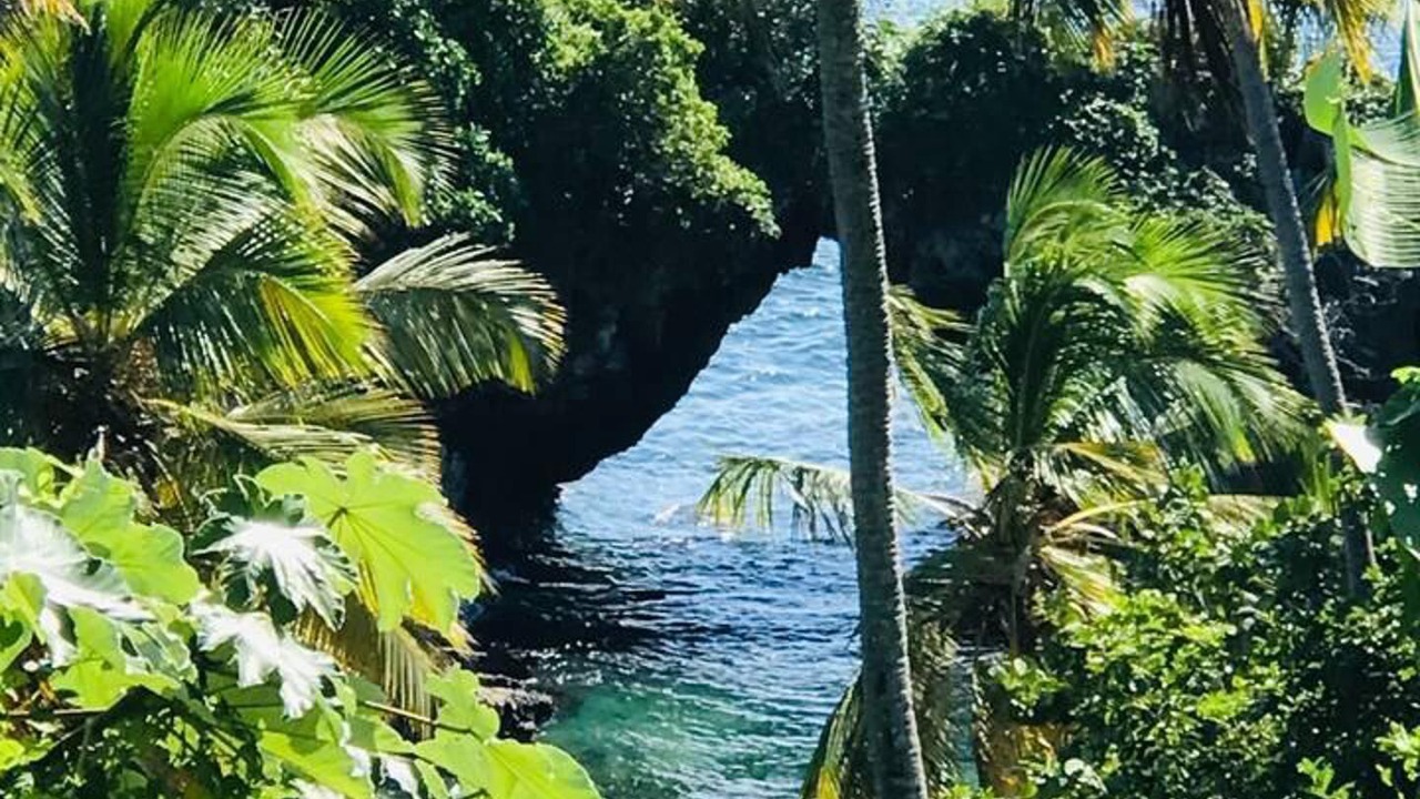 Photo of Others in Las Terrenas