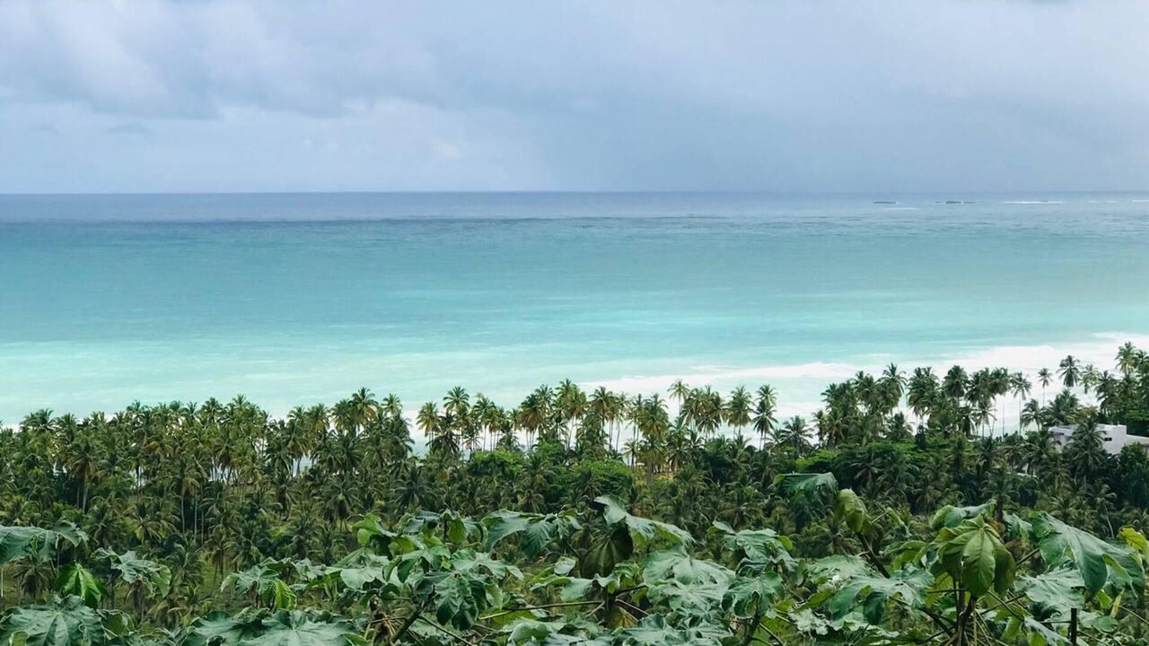 Photo of Others in Las Terrenas