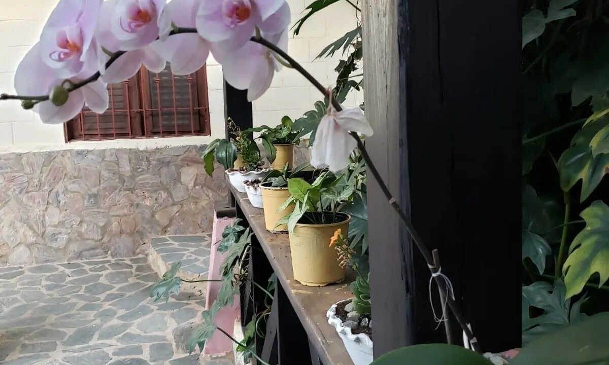 Photo of Patio Balcony in La Joya
