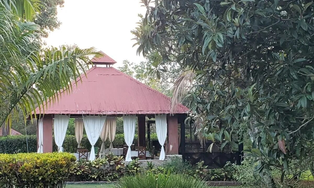 Photo of Outdoor in La Joya