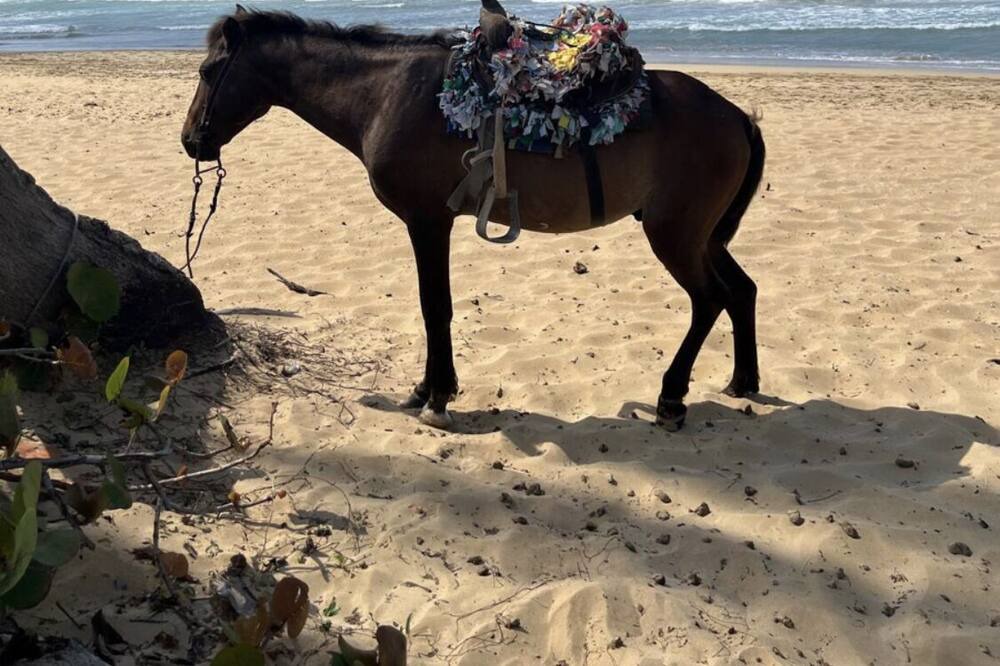 Photo of Others in Sanchez