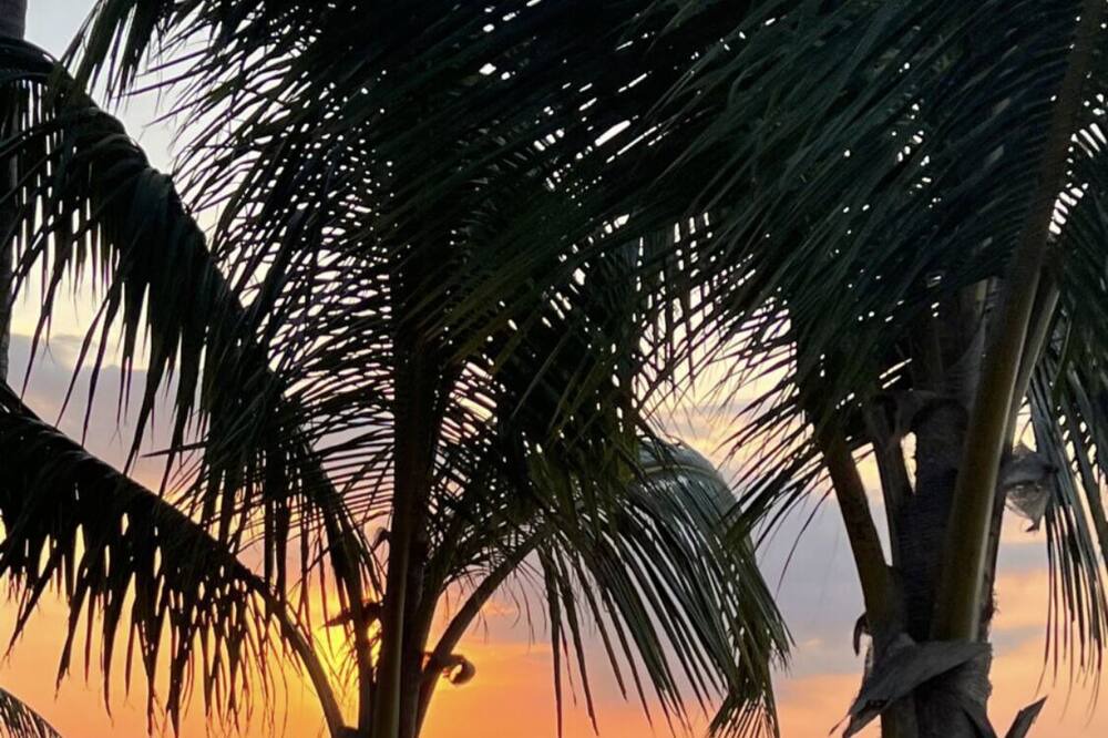 Photo of Outdoor in Sanchez