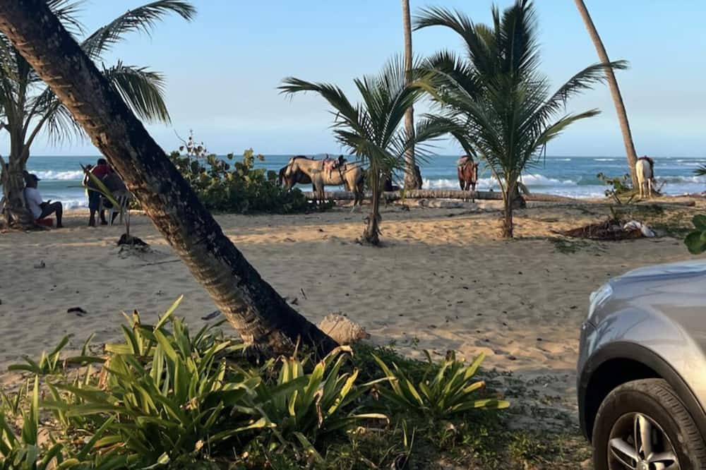 Photo of Others in Sanchez