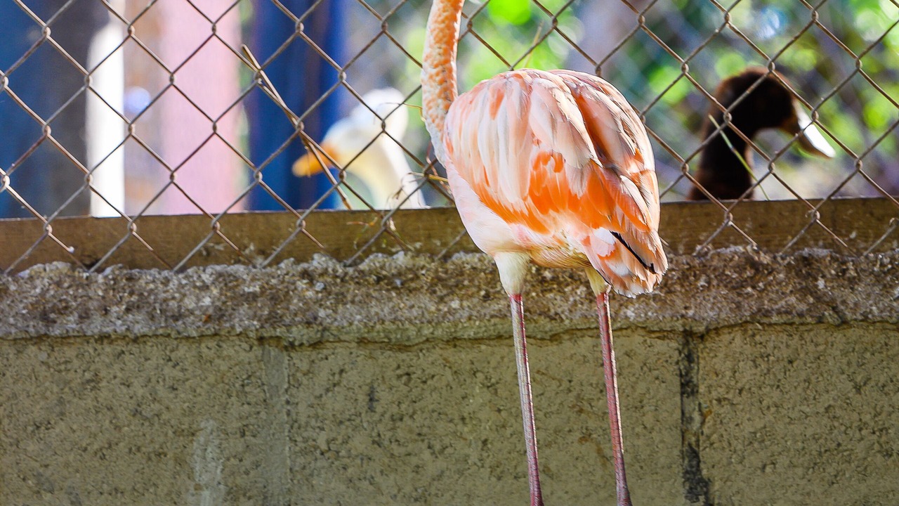 Photo of Others in Puerto Plata