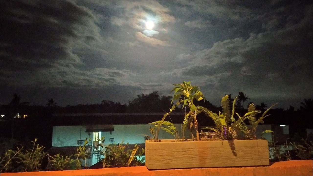 Photo of Outdoor in Petulu