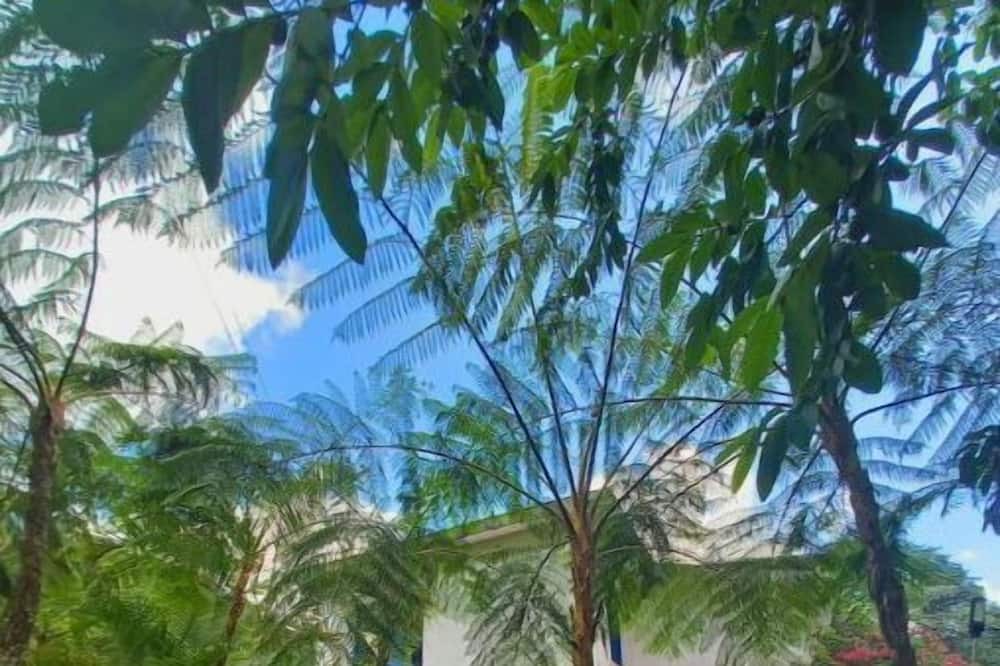 Photo of Outdoor in Los Cacaos