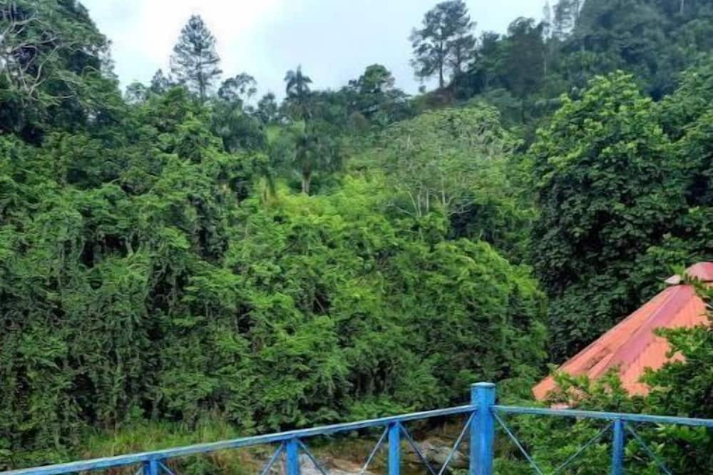 Photo of Outdoor in Los Cacaos