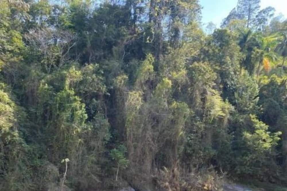 Photo of Outdoor in Los Cacaos