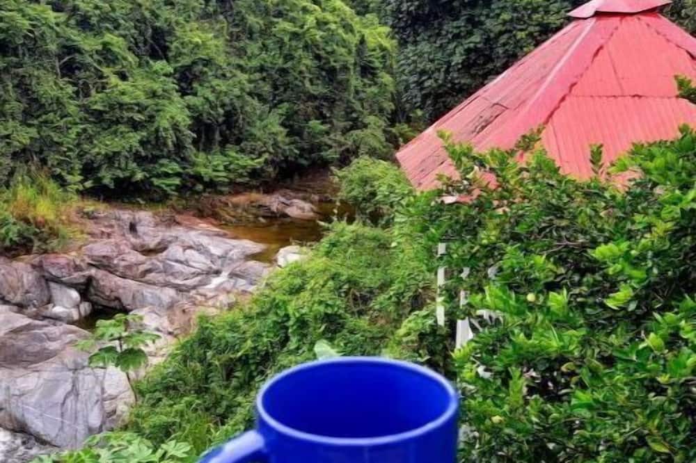 Photo of Outdoor in Los Cacaos